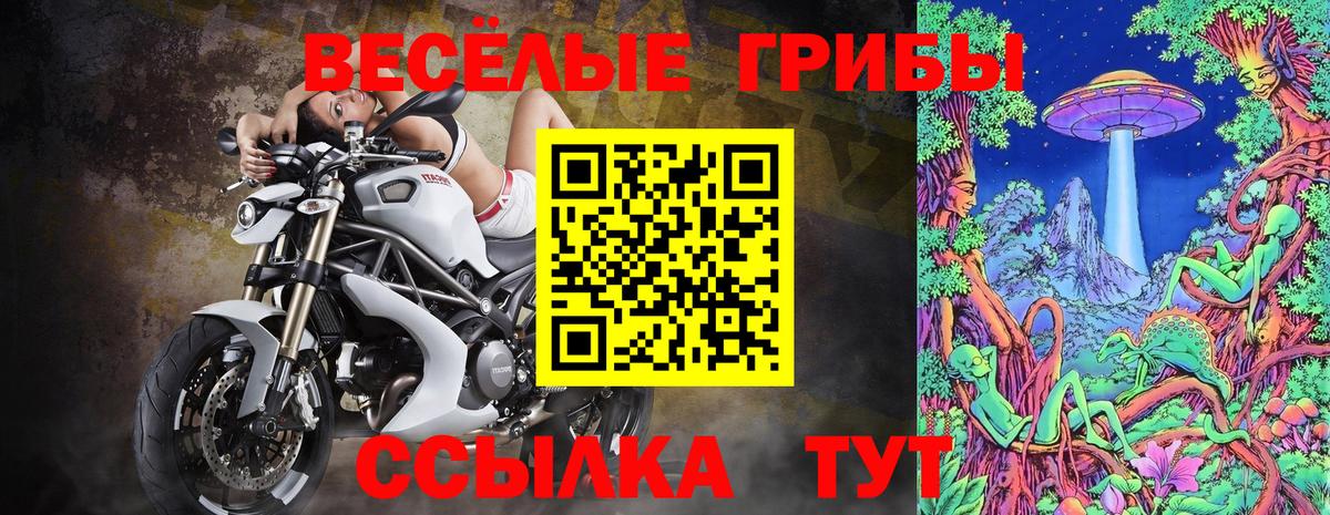 Улан-Удэ  Галлюциногенные грибы GOLDEN TEACHER  Вход с VPN  Псилоцибиновые грибы мухоморы 